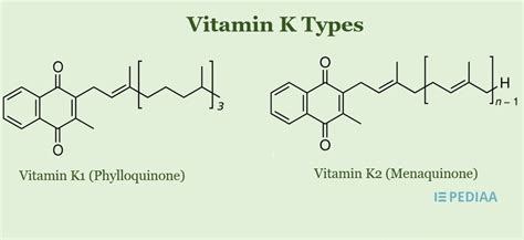 Difference Between Vitamin K and K2 - Pediaa.Com