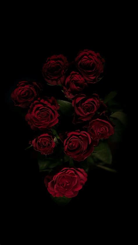 Dark Rose Wallpapers - Top Free Dark Rose Backgrounds - WallpaperAccess