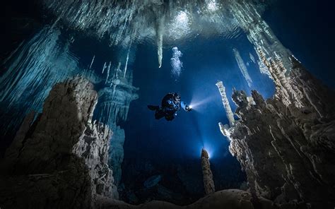 Divers take home top awards after capturing amazing cenote images ...