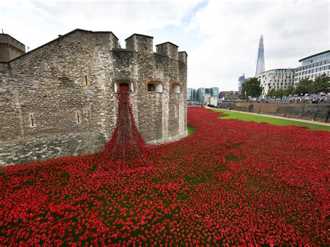 The Tower of London poppies are an extraordinary memorial - which some ...