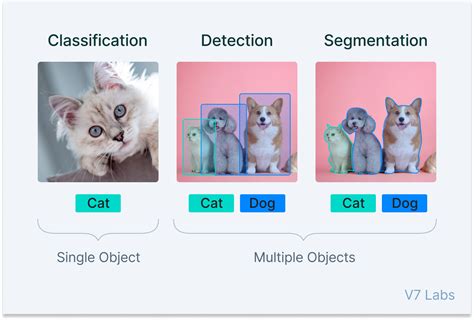 Object Classification Computer Vision