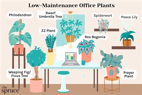 Office Cubicle Plants