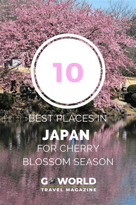 10 Best Places to See Cherry Blossoms in Japan | Spring Travel in Japan ...