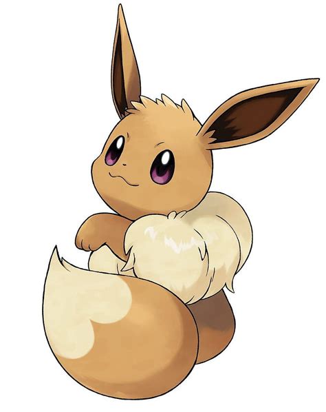 Cute Pokemon Drawings Eevee