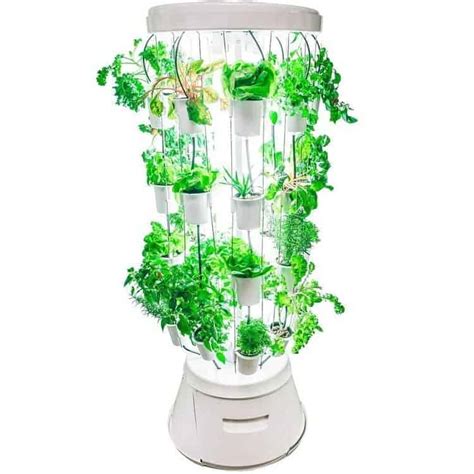 Indoor Gardening Kits - Our Top 10 Picks | Indoor Gardening