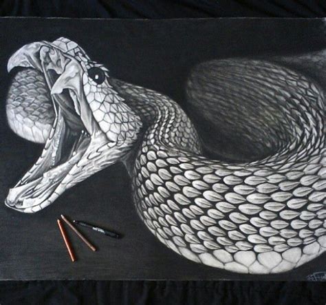 Snake Drawing | Snake drawing, Snake art, Snake tattoo design