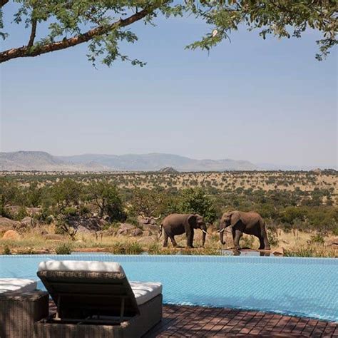 Four Seasons Safari Lodge Serengeti in Serengeti National Park - Luxury ...