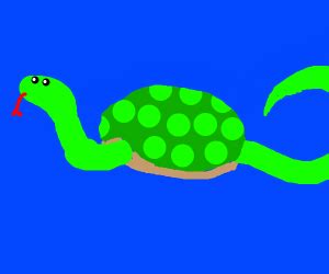 Snake turtle hybrid - Drawception