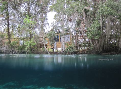 Kayaking With Manatees at 3 Sisters Springs in Crystal River ...