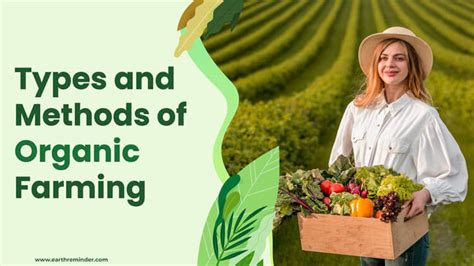 Organic Farming: Methods and Types | Earth Reminder