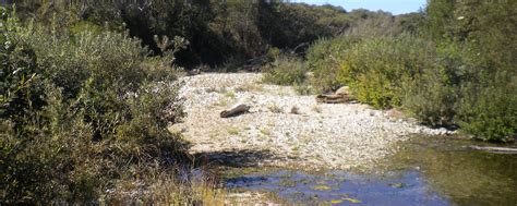 Big Sur River Watershed Management Plan - Creek Lands Conservation