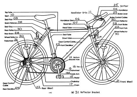 Bicycle Diagram Labeled Parts