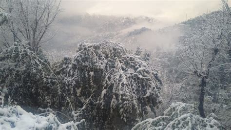 Shimla Snowfall Months - Safe Seasons to Visit