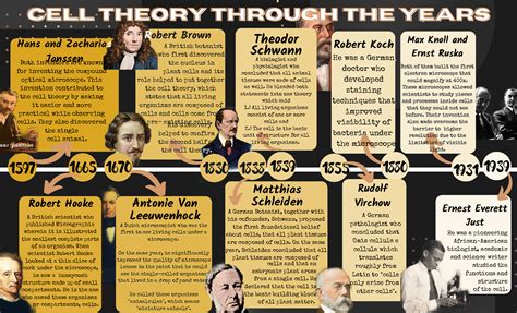 Schwann History Of Cell Theory | Hot Sex Picture