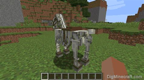 Skeleton Horse in Minecraft