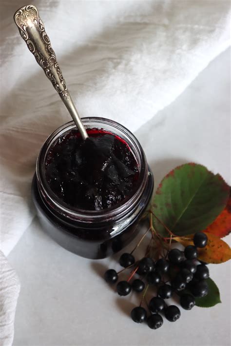 20+ Aronia Recipes - Adamant Kitchen