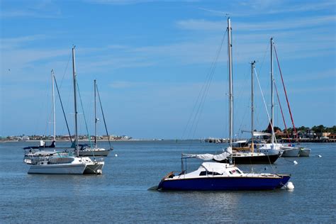 Sailboats Moored Free Stock Photo - Public Domain Pictures