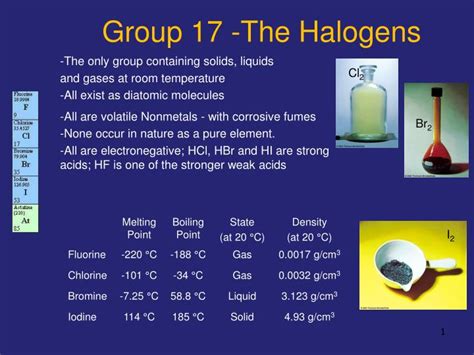 PPT - Group 17 -The Halogens PowerPoint Presentation - ID:2239028