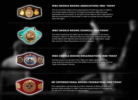 The Different Boxing Title Belts Explained | The Boxing Champions