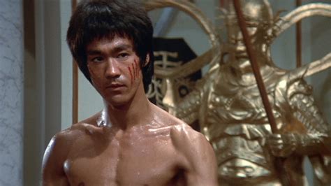 enter, The, Dragon, Bruce, Lee, Martial, Arts, Movie, Warrior, Eq ...