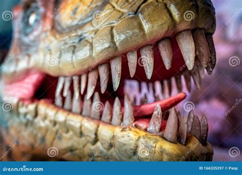 Sharp Teeth of a Velociraptor Dinosaur Editorial Photography - Image of ...