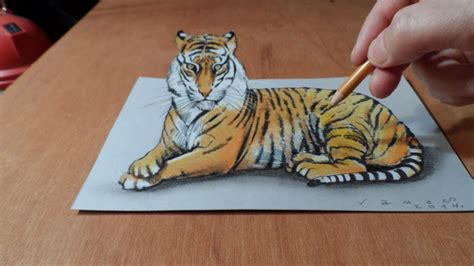 How to Draw Tiger : Step By Step Guide