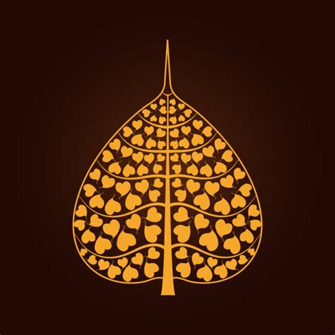 120+ Bodhi Leaf Stock Photos, Pictures & Royalty-Free Images - iStock