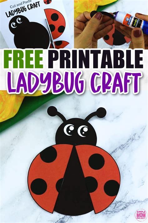 Ladybug Art Projects