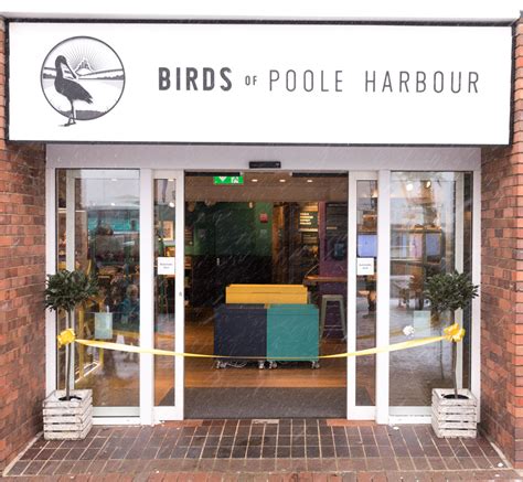 Birds of Poole Harbour Engagement Visitor Centre - Birds of Poole Harbour