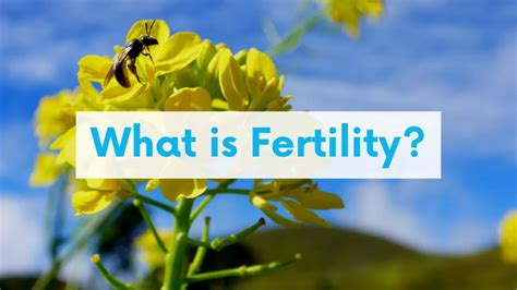 The Health Connect: Natural Ways to Improve Fertility | Role of ...