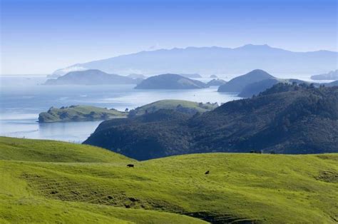 Coromandel Coast And Meal | experitour.com