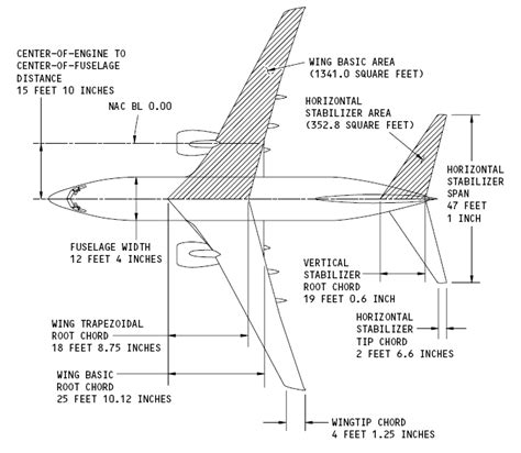 Line Drawings - NG's