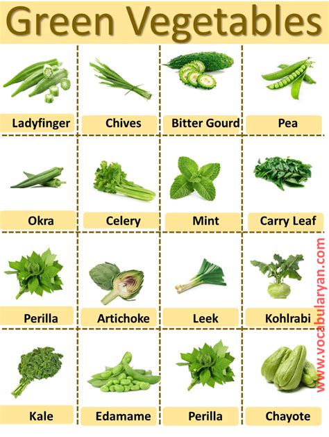 Green Vegetables Names with Pictures for Kids – VocabularyAN