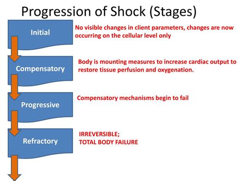 Phases Of Shock