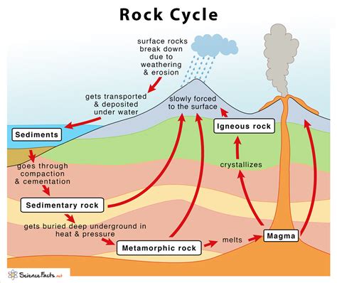 Rock Cycle Diagram Worksheet - Wordworksheet.com