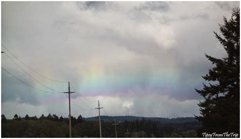 Spotted: Circumhorizontal Arc (?) | Tipsy from the TRIP