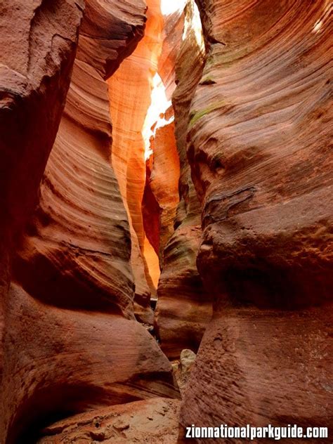 10 best Slot Canyons images on Pinterest | Zion national parks, Cave ...