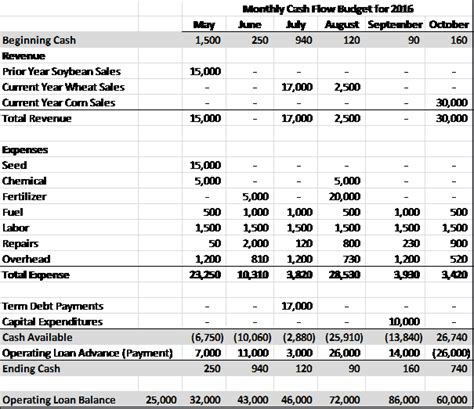 Cash Flow Projection Template Excel