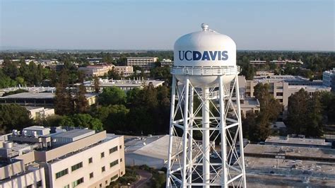 Can UC Davis' mascot become a cow? | Latest | abc10.com