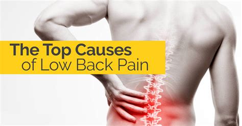 The Top Causes of Low Back Pain | Tulsa Chiropactor - Schluter Chiropractic