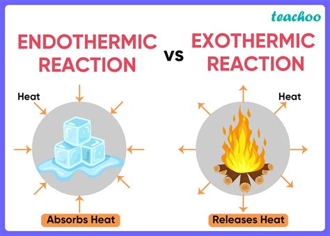 Endothermic And Exothermic Reaction Examples