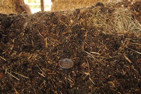 Manure composting - Clean Lakes Alliance