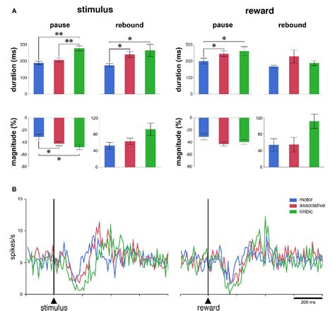 Figure 3 from Differences between Dorsal and Ventral Striatum in the ...