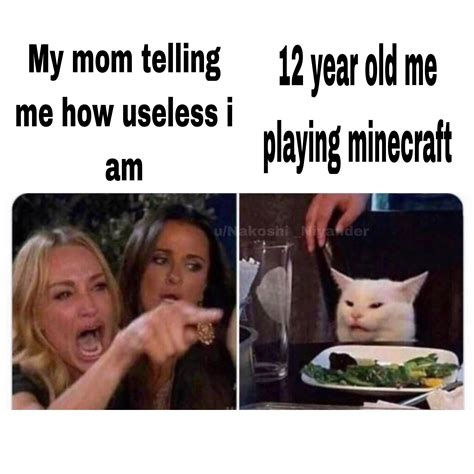 Woman yelling at cat meme generator - moliegypt