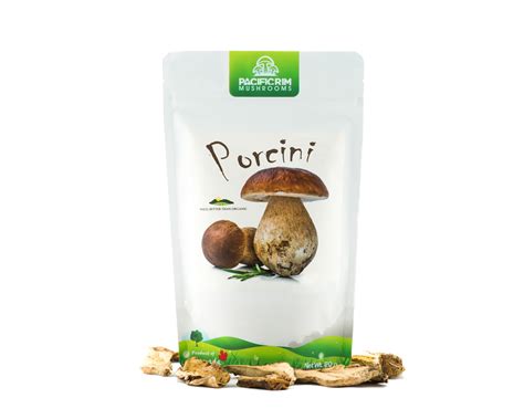 Amazing Dried Porcini Mushrooms to boost any recipe!