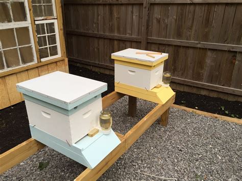 Added entrance feeders to our hives. Didn't have any 1x1 handy to make ...