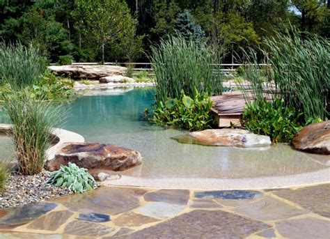 Beautiful natural swimming pools - Ecohome