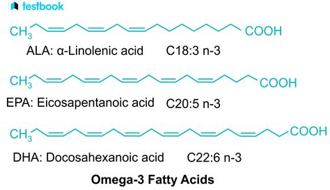 omega-3 Fatty Acid: Definition, Structure, Sources, Benefits, Uses ...