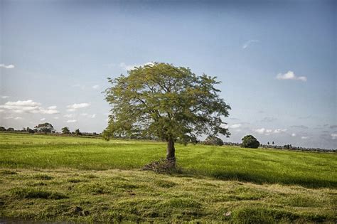 Seasons in Guyana: Weather and Climate