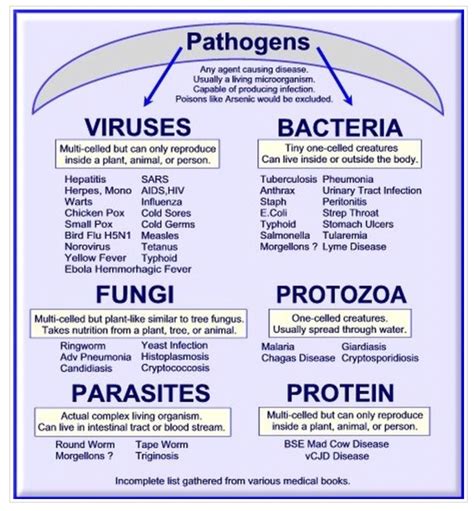 Types of Pathogens Nursing School Studying, Nursing School Notes ...